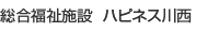 ���������{��  �n�s�l�X�쐼